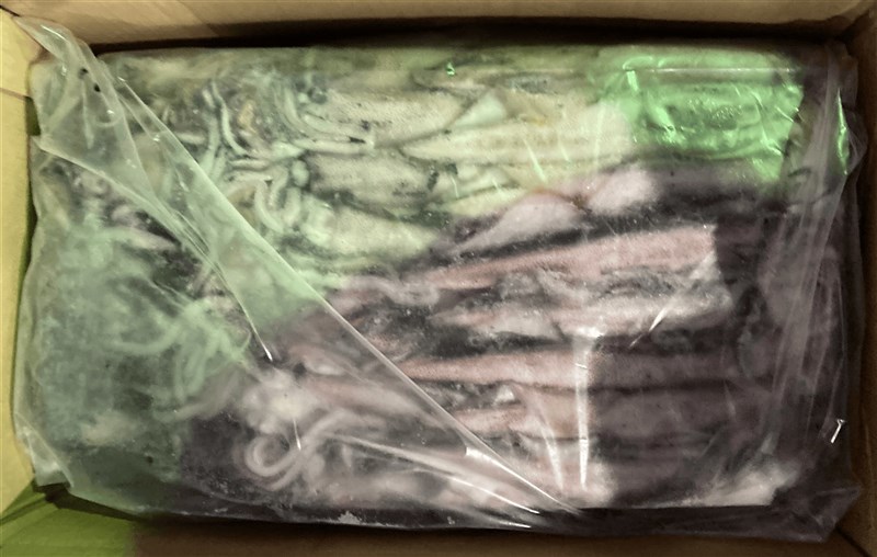 "冷凍透抽(FROZEN SQUID WHOLE ROUND)" dari PT. Maritim Nusantara Perkasa. (Sumber Foto : TFDA)