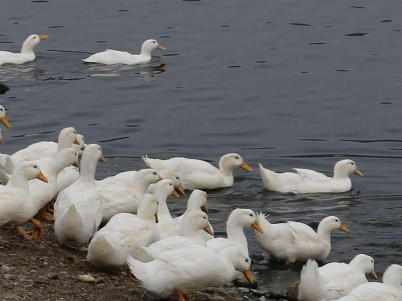 (Sumber Foto : Dokumentasi CNA)