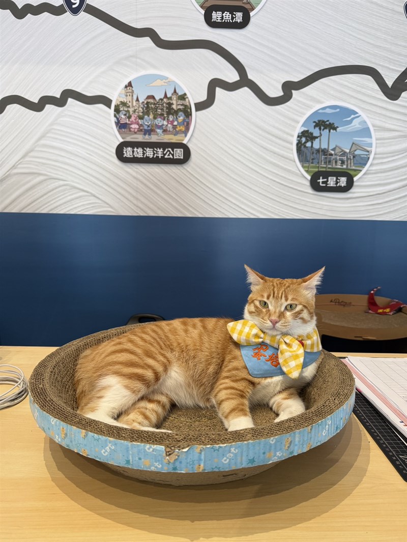 Egg Tart beristirahat di tempat yang telah ditentukan di Terminal Bus Hualien dalam foto tanpa tanggal ini. (Sumber Foto : Dokumentasi Terminal Bus Hualien). 