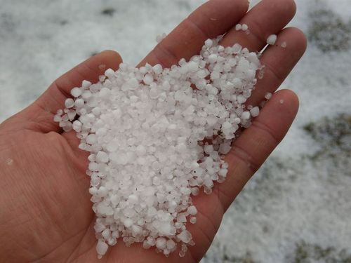3千メートル級の山で霧雪やあられ 玉山は一面の銀世界に/台湾 - フォーカス台湾