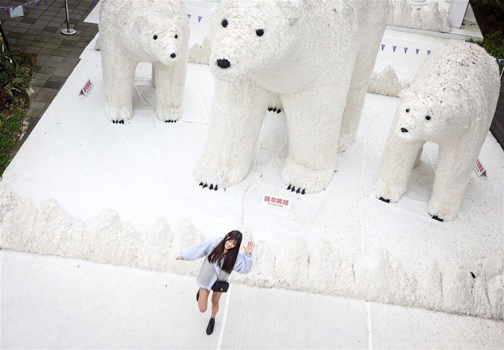 ホッキョクグマのオブジェ、圧倒的存在感 新北市でクリスマスイベント