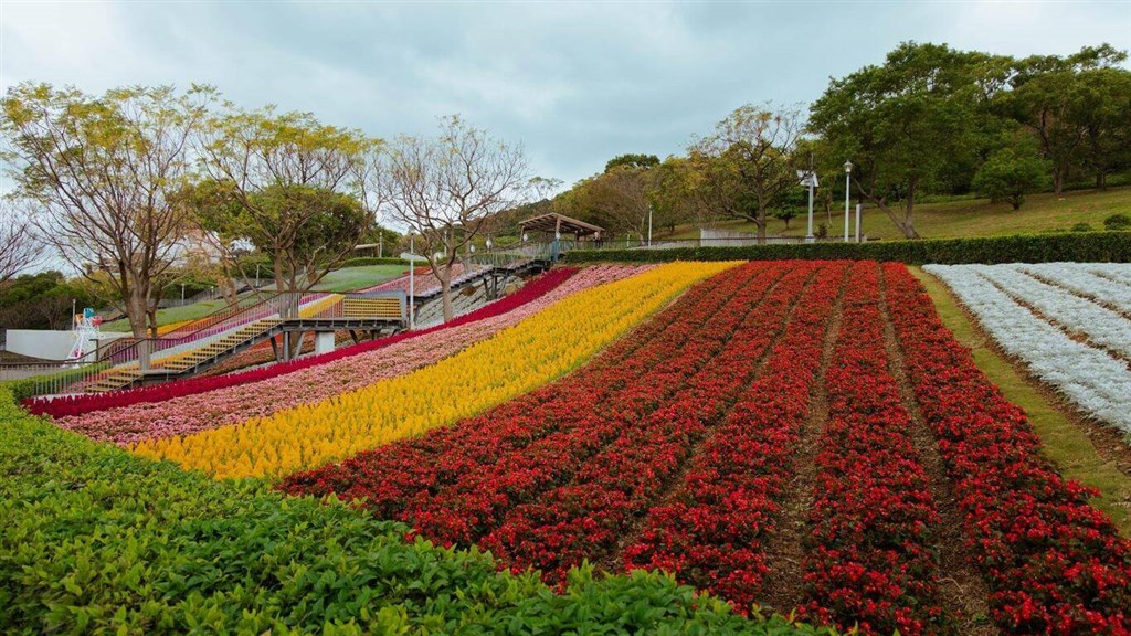 もうすぐ3連休 山の斜面に沿って花畑一面に 台北・北投社三層崎公園