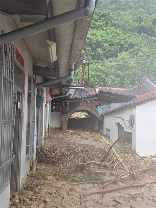 台風3号  3人死亡、380人けが  各地で倒木や冠水も／台湾