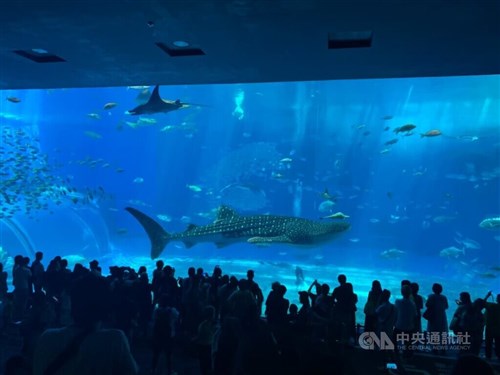 日本への旅行、台湾人の親子連れにも人気  距離の近さやテーマパークが魅力