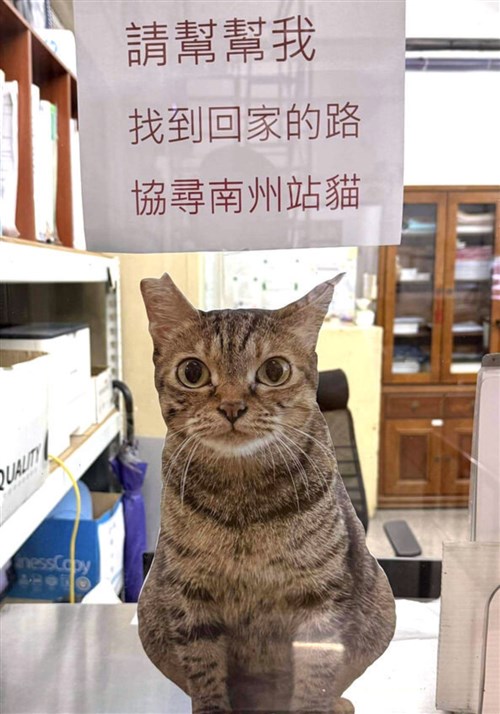 駅周辺に住み着いた猫が「失踪」　駅員が情報提供呼びかけ／台湾
