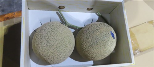 日本産メロン、水際検査で不合格  残留農薬の規定違反／台湾