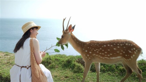 歌手のサンディーさん、生前制作の映像作品公開 離島の魅力PR/台湾