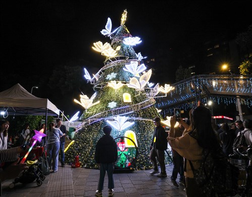 台北の冬の夜照らす　イルミネーション、大安森林公園一帯で来年元日まで