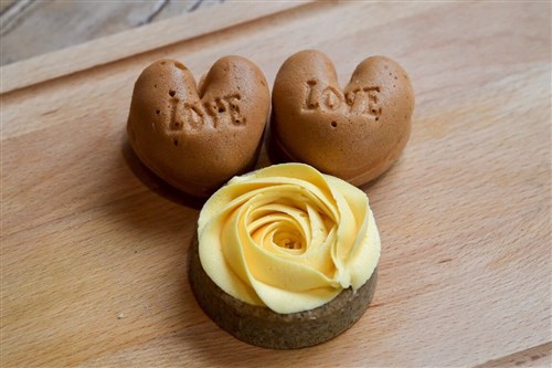 食べて守る　保護指定種ヤマネコに配慮して作られたバナナ　焼き菓子も　中部・南投県