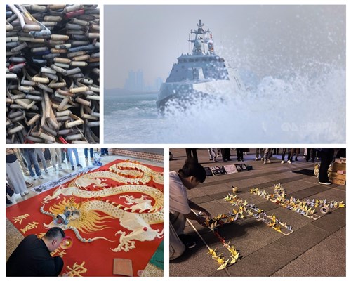 【写真特集】中央社の今年の写真