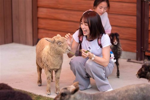 高雄市の「野森動物学校」がプレオープン　観光、地方創生、生態教育の拠点に／台湾