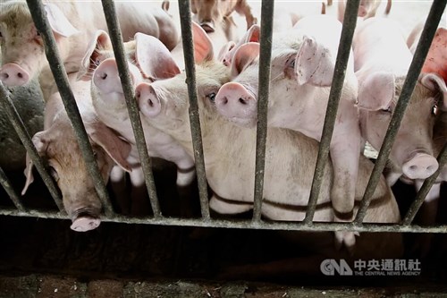 台湾、国際獣疫事務局にアフリカ豚熱清浄国認定を申請 「防疫体制は安定」=農業部