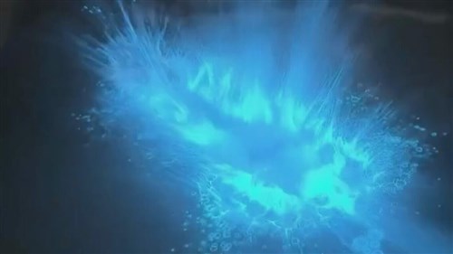 漁港で「青い涙」確認　苗栗県「水質監視へ」　ヤコウチュウが大量発生