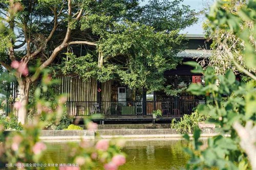 足元に魚　奈良美智さんも訪れた池の上のカフェ、「観光案内所」に／台湾・嘉義