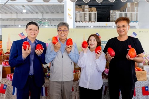 台湾のマンゴーやライチ計6トンが欧州へ輸出　検疫の厳格化以降初めて