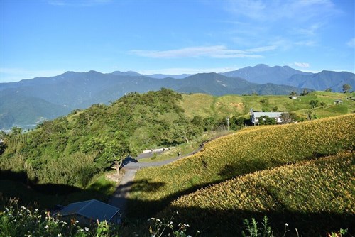 9月中旬に花蓮でハーフマラソン　現時点で1500人超が参加申込　観光振興に期待