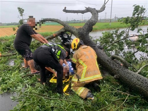 台風9号、全土で87人けが　バイク運転中の転倒相次ぐ／台湾