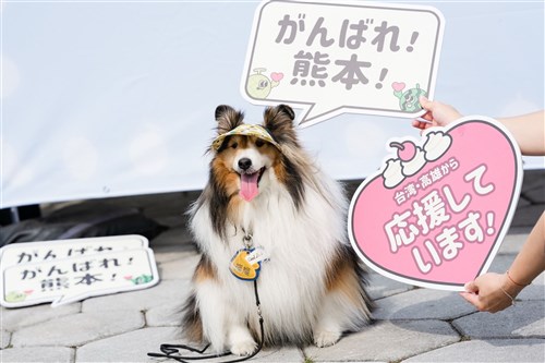 高雄市と日本台湾交流協会、共同で「フルーツ祭」　熊本への応援メッセージ集まる