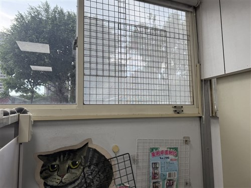 建物の屋上からペットの犬が転落死　新北市、飼い主に約7万4000円過料／台湾