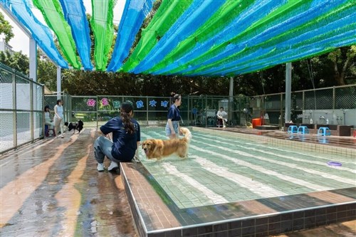 台湾・新竹市、ドッグプールの整備を計画　リハビリできる施設も