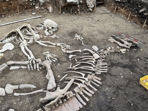 下呂アートディスカバリーに作品出展　台湾出身の涂維政さん「市へのプレゼント」