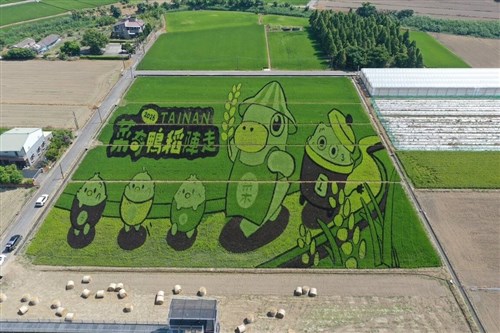 台南に市場PRキャラクター「菜奇鴨」の田んぼアート　農村の風景とコメ文化を紹介
