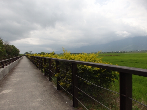 田んぼを横目に自転車道を南下。伯朗大道までは標識が至るところに出ているため、迷うことは少ないだろう
