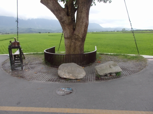 金城武が座った石も。CMに登場した金城がお茶を飲むポースで写真撮影をする人の姿もあった