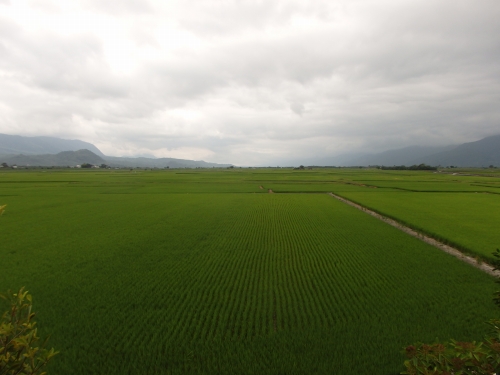 大観楼から見た風景