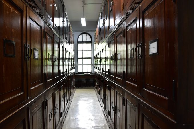 標本館2階の標本室