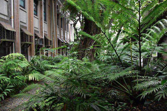 日本統治時代をテーマにした庭園