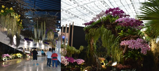 メイン展示場「花舞館」の会場内