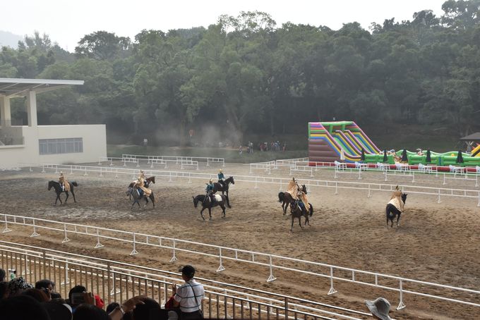 毎日定時に行われる馬術のパフォーマンス