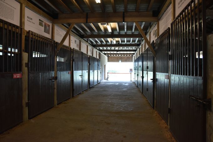 第一馬厩の内部