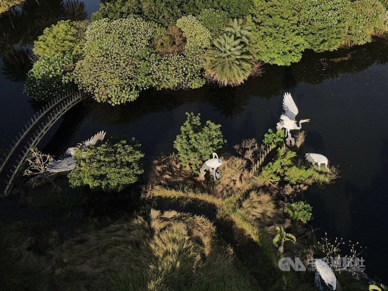 「水上楽園」はテーマパーク「八仙海岸」を構成するエリアの一つ。八仙海岸内の「生態世界」エリアは旧来の池の姿を保っている（中央社記者徐肇昌撮影、2022年6月26日）