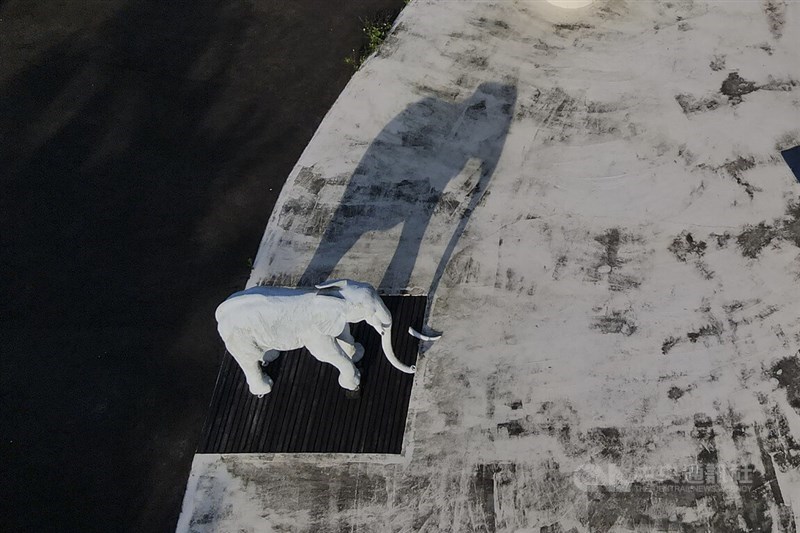 【空撮写真】かつて賑わった「八仙水上楽園」 火災から7年、物寂しい廃墟に／台湾 フォーカス台湾