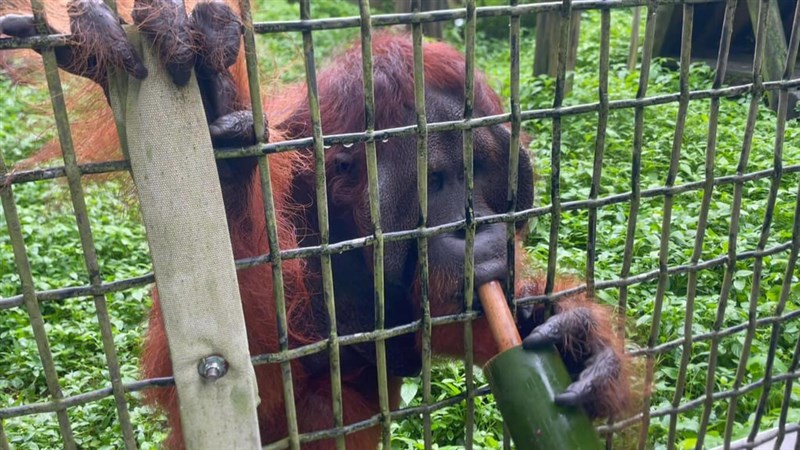 屏東科技大提供