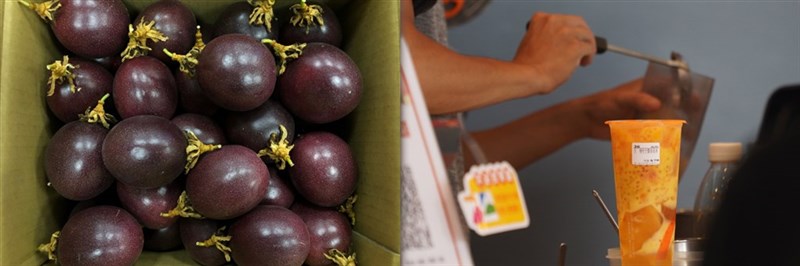 パッションフルーツ(左、高雄区農業改良提供)。右は果物入りドリンクのイメージ(中央社資料写真)