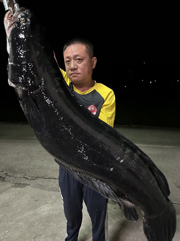 日月潭でレッドスネークヘッド捕獲 凶悪な魚で重さ約20キロ - フォーカス台湾