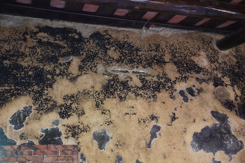 壁に残る黒い斑点は菓子店だった頃に火であぶられてできた。「まるで壁画のよう」と古さんは胸を張る。