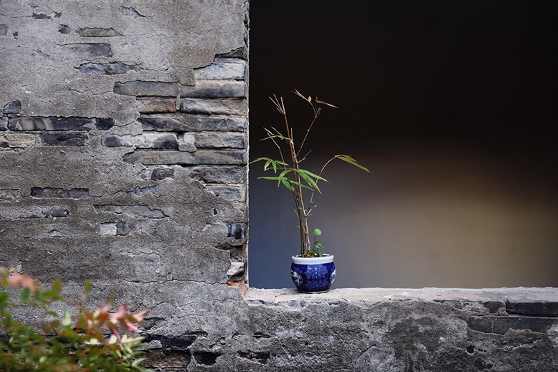 わびさびの精神は屋敷の隅々に宿る。