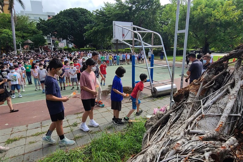 忠義小学校提供