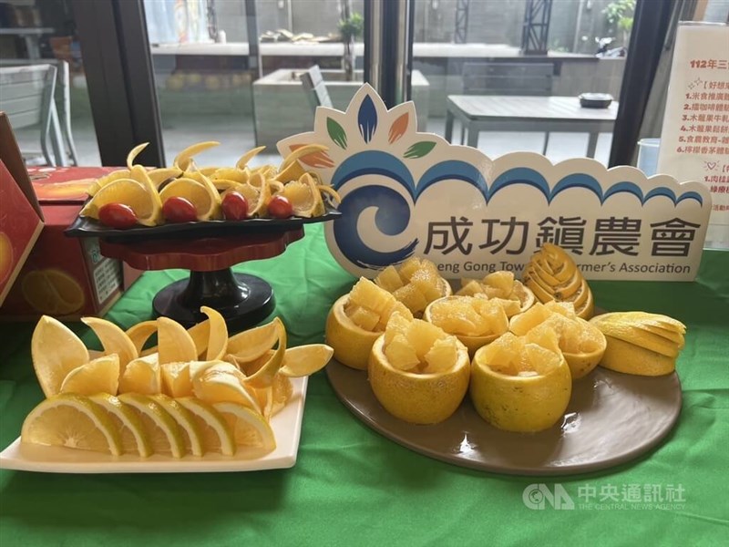 東部・台東産のネーブルオレンジ＝24日、盧太城撮影