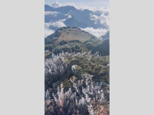 台湾最高峰の玉山で観測された霧氷＝中央気象署提供