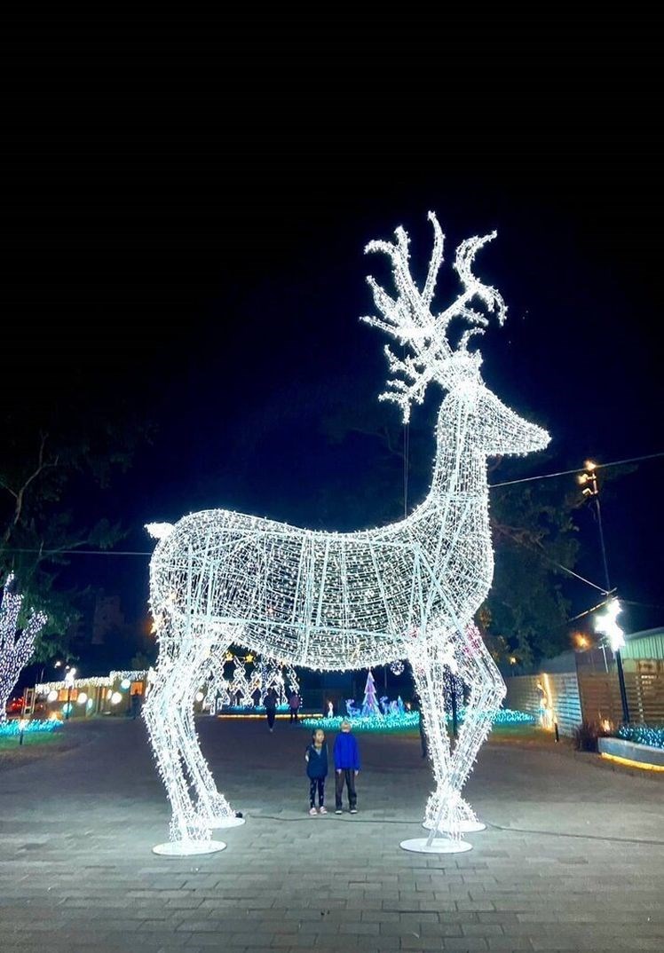 台東でクリスマスイルミネーションが試験点灯 目玉は光るトナカイ