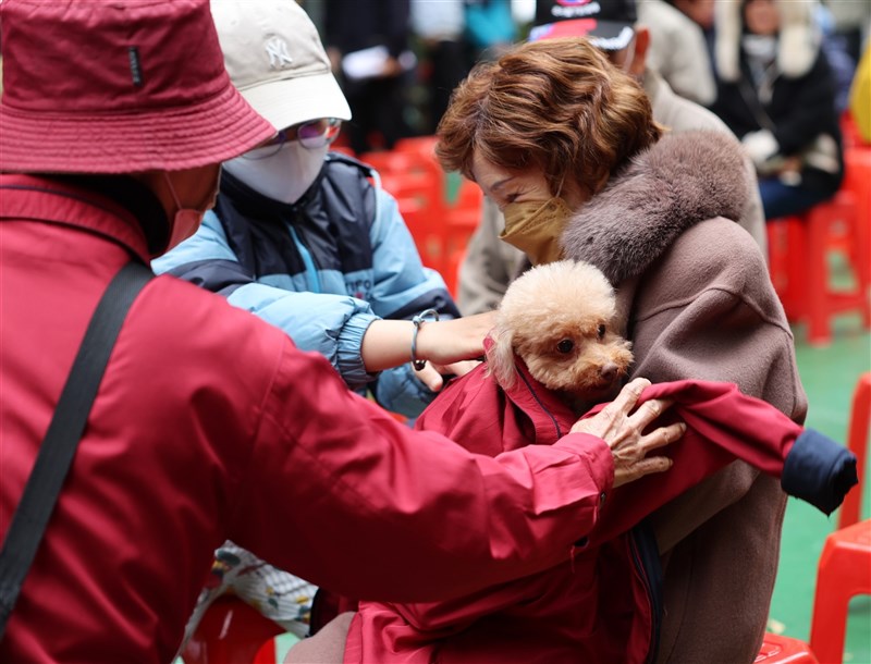 ペットの防寒対策もばっちり＝17日、新北市・板橋で趙世勳撮影