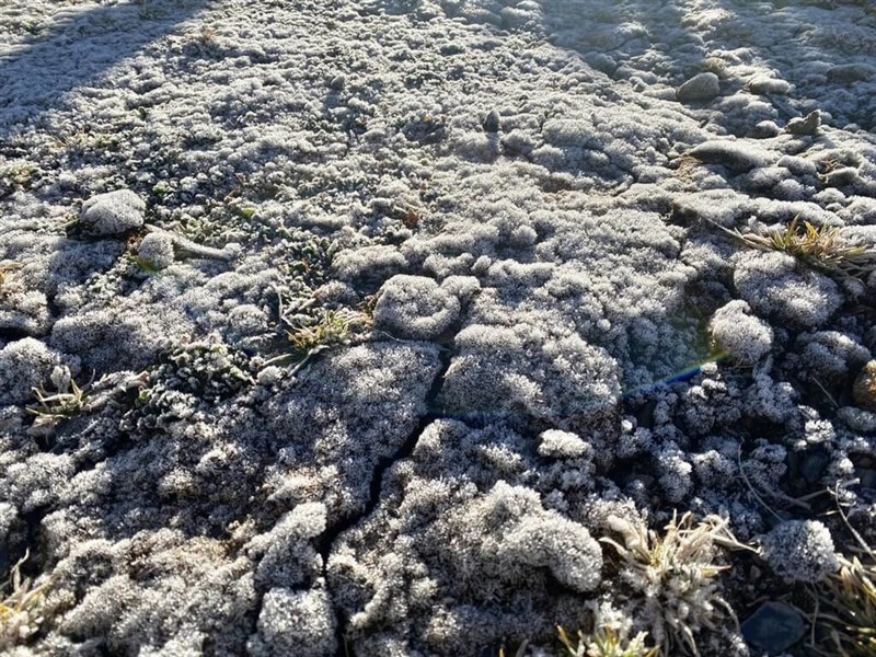玉山北峰で18日午前4時半過ぎ、この日の台湾最低気温となる氷点下4.2度を記録。地面の草などに霜が降りたのも確認された＝中央気象署提供