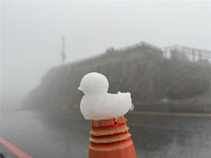 台湾追雪団提供