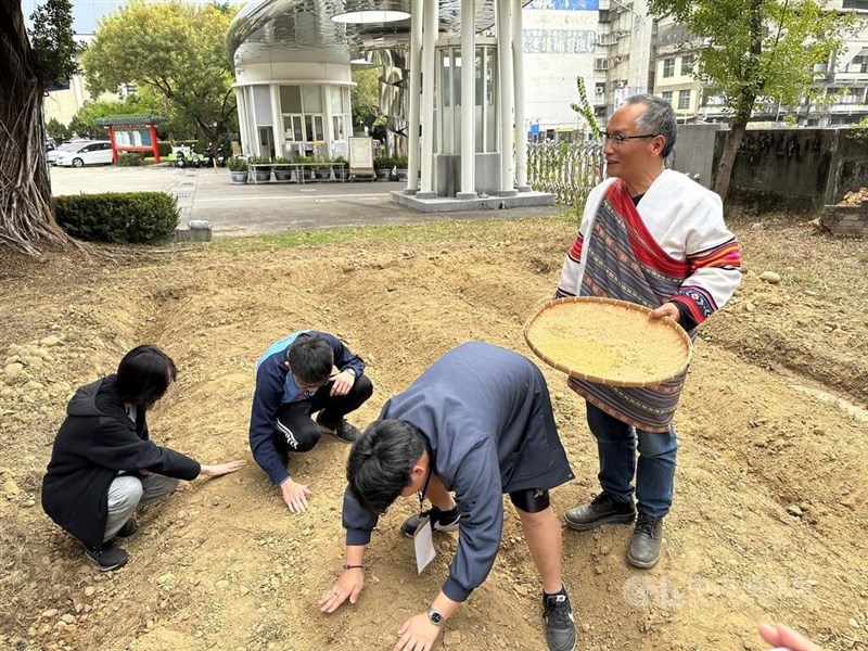 アワの種をまく台中第一高の生徒ら＝6日、趙麗妍撮影