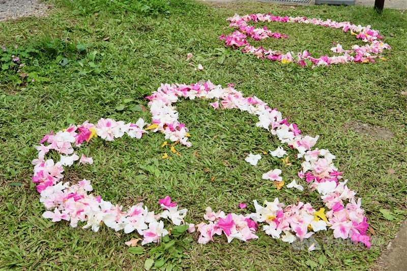 花びらで形づくったハートマーク＝台北市で2024年3月16日、中村充孝撮影